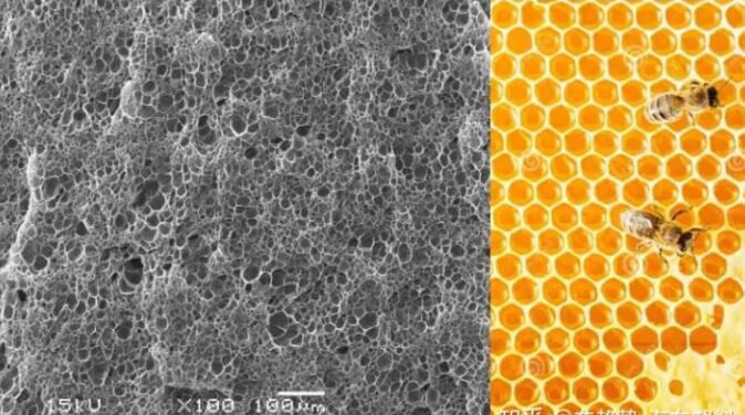 epp發(fā)泡聚丙烯的顯微結構,可以看到這是種連續(xù)閉孔結構,類似于蜂窩 epp發(fā)泡聚丙烯的顯微結構,可以看到這是種連續(xù)閉孔結構,類似于蜂窩